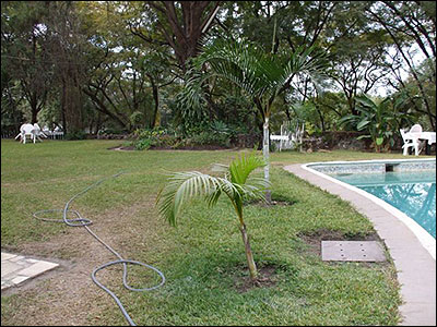 The Guesthouse Grounds