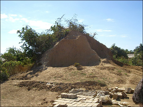 A giant anthill