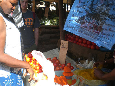 Theresa and Troy picking out tomatoes.