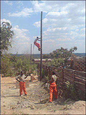 Up the poles on our property.