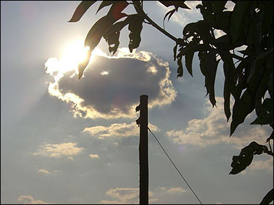 The power line to our property.