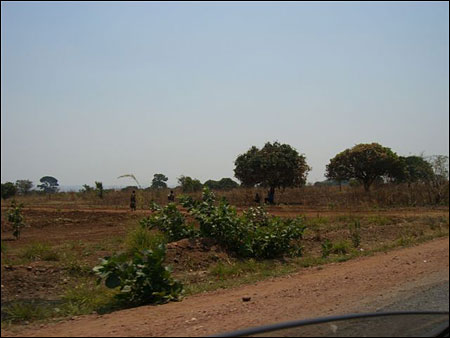 The beautiful open land just outside Ndola.