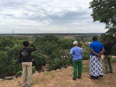 Surveying the property