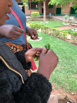 Rachel and Esther showing us how they made little bags out of mango leaves when they were children, playing our version of “house.”