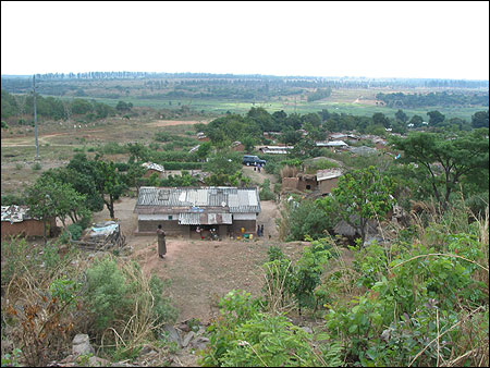 View from property