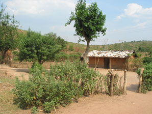 Mud structure on new property