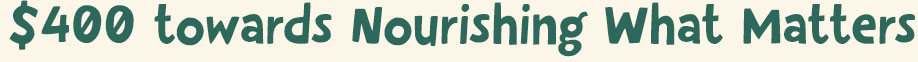 $400 towards Nourishing What Matters